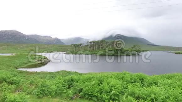 爱尔兰湖或河景视频的预览图