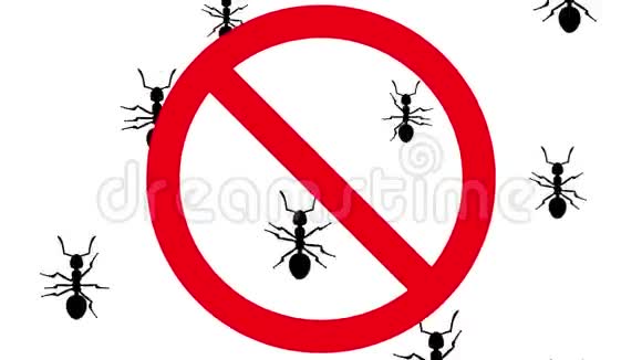 禁止标志中的蚂蚁视频的预览图