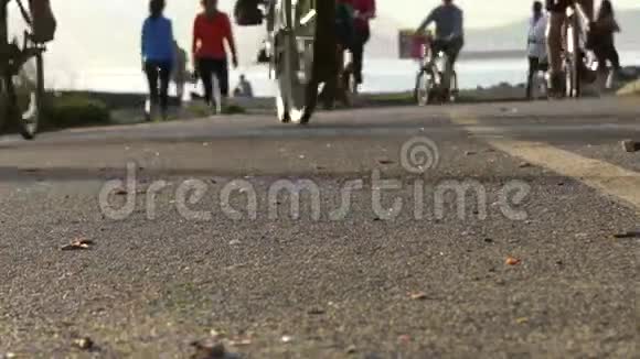 群年轻骑自行车骑晴天视频的预览图