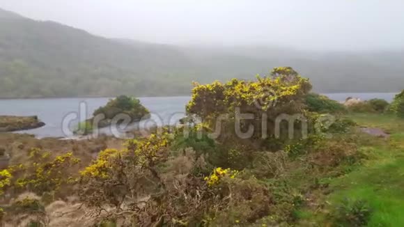 Beara半岛奇妙的自然景观视频的预览图