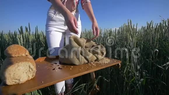一个农民女孩的手紧紧地在麦田里倒了一把麦粒视频的预览图