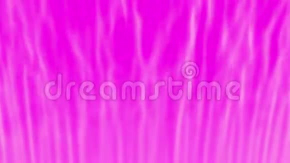 粉色抽象窗帘视频的预览图