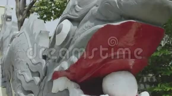 龙的雕塑特写视频的预览图