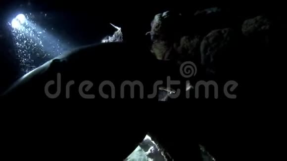 海龟和潜水员在干净的海底水下视频的预览图