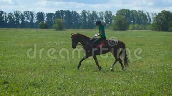 美丽的女孩在乡下骑马Trot视频的预览图