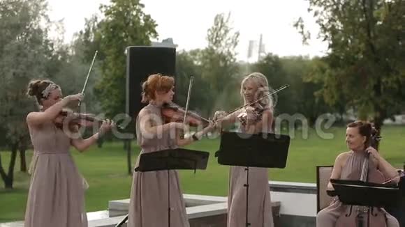 音乐四重奏三个小提琴手和大提琴演奏音乐中弹视频的预览图