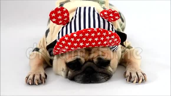 可爱的小狗狗穿着军装穿着军装戴着帽子睡在白色的地板上视频的预览图