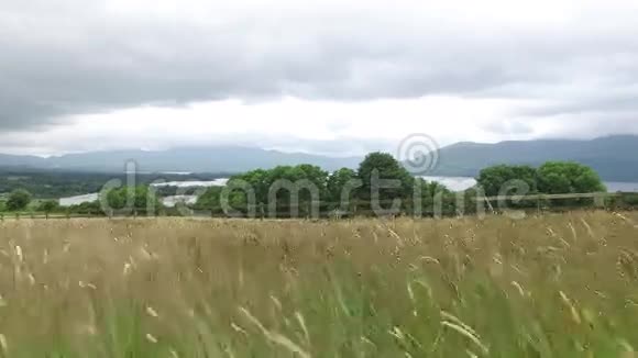 爱尔兰康奈马拉的湖景和农田视频的预览图