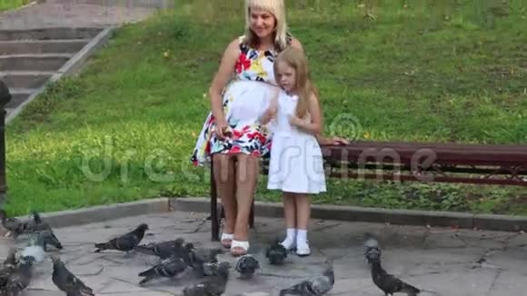 怀孕的母亲和小女儿喂鸽子视频的预览图