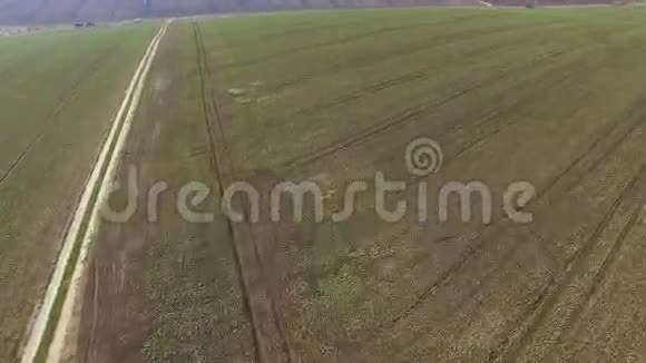 4K油菜田的鸟瞰图视频的预览图