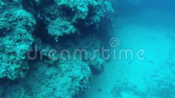 珊瑚礁在希腊接近2视频的预览图
