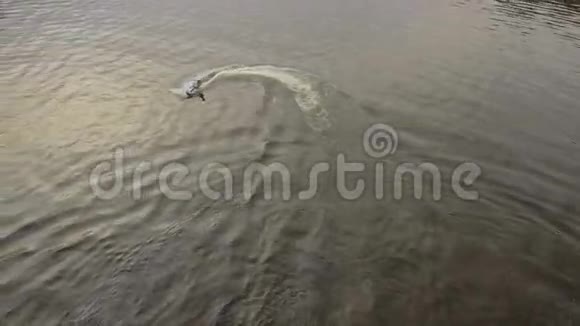 在河里的喷气式滑雪板上空中录像视频的预览图