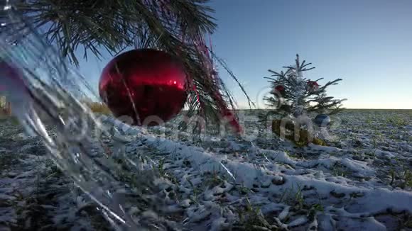 圣诞树冷杉有田野装饰4K视频的预览图