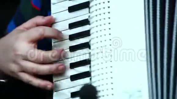 演奏手风琴的音乐家视频的预览图