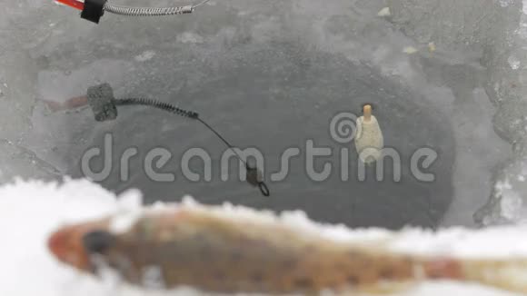 冬季捕鱼的浮杆正在水中移动捕鱼在前景视频的预览图