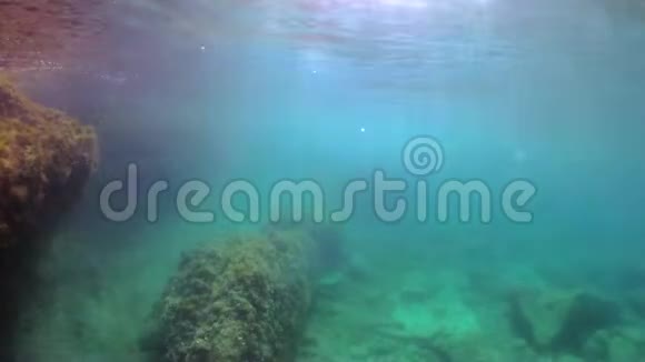岩石礁上的黑色海绵视频的预览图