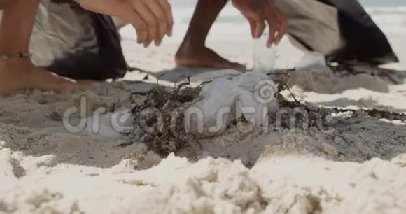 志愿者在阳光明媚的4k天清洁海滩视频的预览图