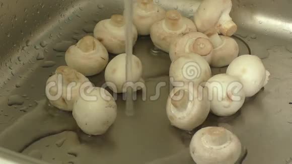 蘑菇被水冲掉了视频的预览图
