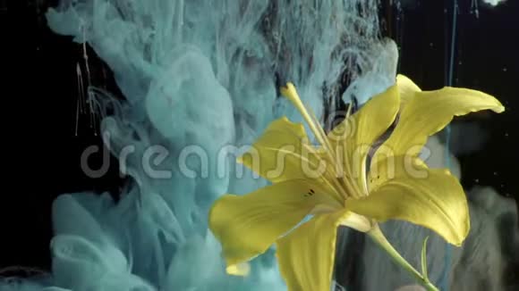 黄花菜墨水在水中视频的预览图