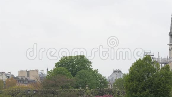 火灾后巴黎圣母院视频的预览图