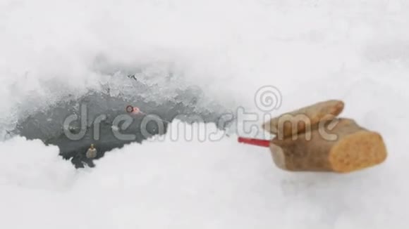 钓竿冬天在冰洞附近钓鱼浮子穿过水面视频的预览图