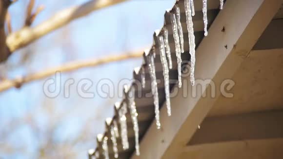 冬天的冰柱在春天的阳光下融化在屋顶上从它们的提示中滴落慢动作视频的预览图