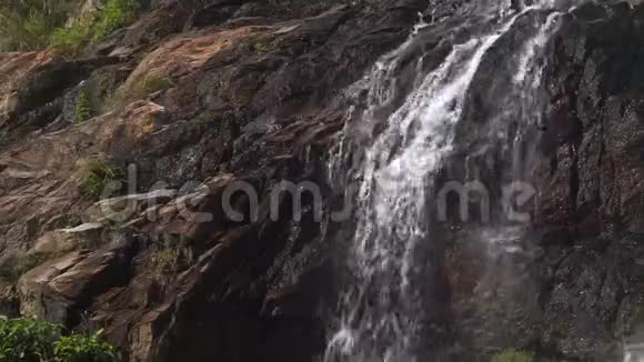 瀑布在风景如画的丛林雨林视频的预览图
