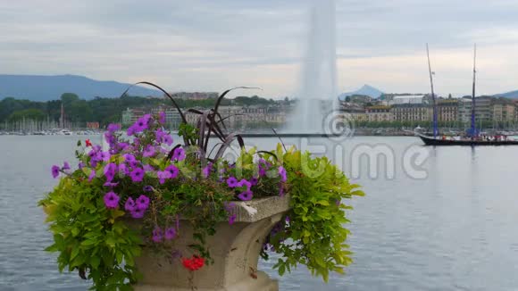 瑞士日内瓦湖喷水池和鲜花视频的预览图