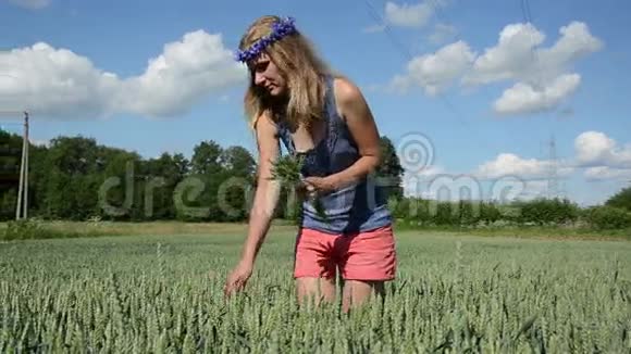 女孩摘麦穗视频的预览图