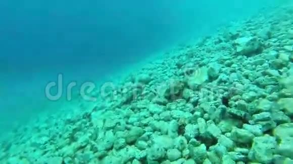 珊瑚礁在希腊接近8视频的预览图
