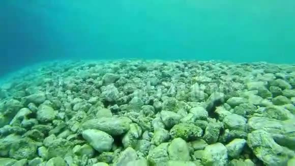 珊瑚礁在希腊接近9视频的预览图