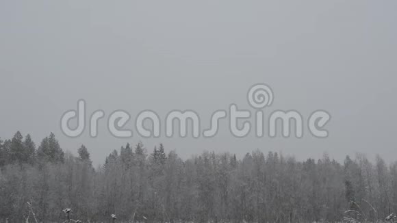 北极圈森林景观的大雪视频的预览图