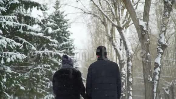 在雪日散步的夫妇视频的预览图