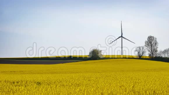 黄色油菜田的风电场视频的预览图