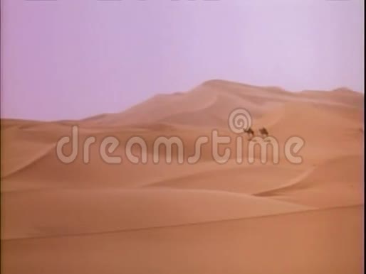 两个人在沙漠骑骆驼视频的预览图