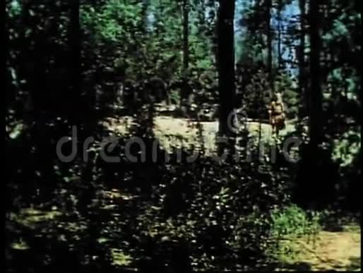 俯瞰中世纪士兵在森林中等候视频的预览图