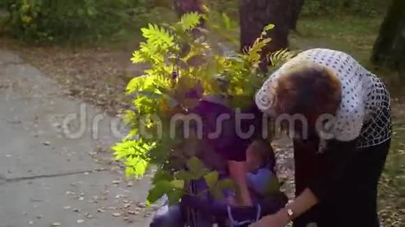 祖母带着孙子在公园散步视频的预览图
