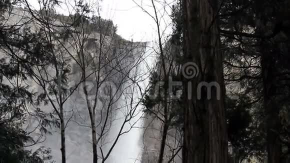 透过树木镜头拍摄新娘面纱瀑布视频的预览图