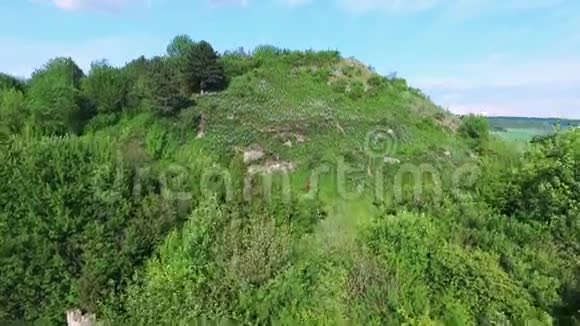 带灌木和树木的绿岩小岛的空中景色视频的预览图