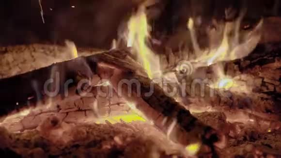 在火里烧柴火视频的预览图