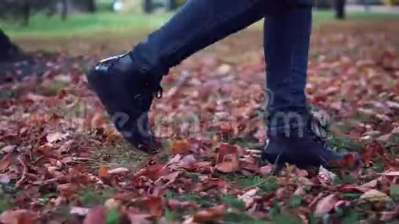 年轻女子在秋天公园散步女性脚特写走在落叶上的女孩视频的预览图