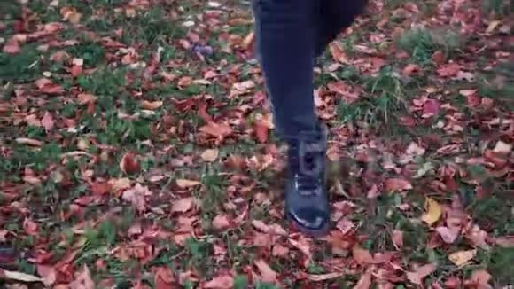 年轻女子在秋天公园散步女性脚特写走在落叶上的女孩视频的预览图