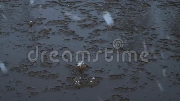 雪花落在水坑上冬季概念视频的预览图