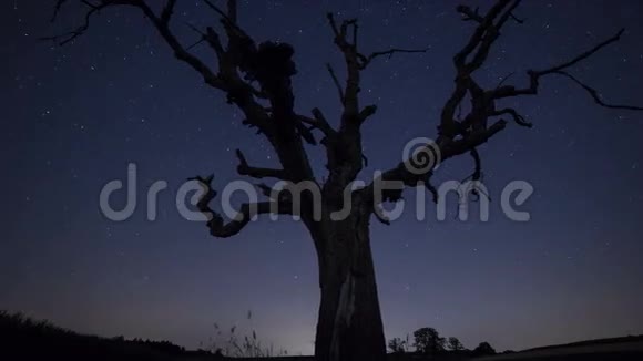 星星过树时间流逝视频的预览图