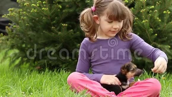 小女孩喂小狗视频的预览图