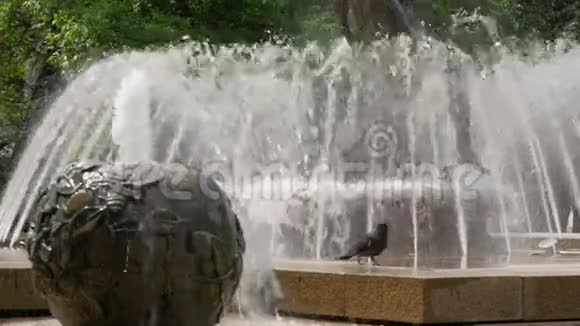 城市公园里美丽的喷泉太阳照亮了水的飞溅闪亮的水花关门视频的预览图