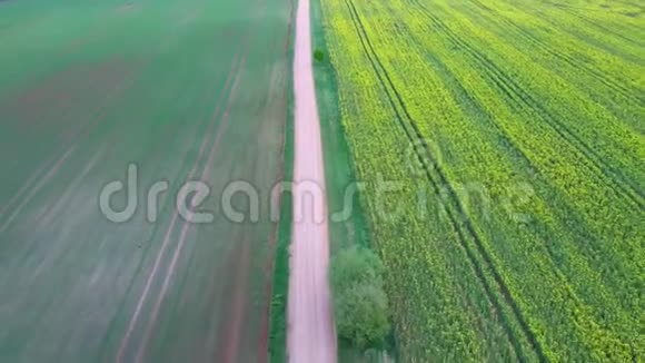 飞越田野与开花的油菜花和乡村道路空中电子摄影视频的预览图