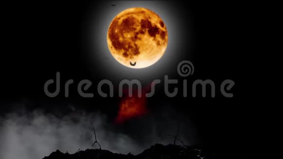 题词万圣节变成了一群蝙蝠在月亮和墓地的背景上视频的预览图