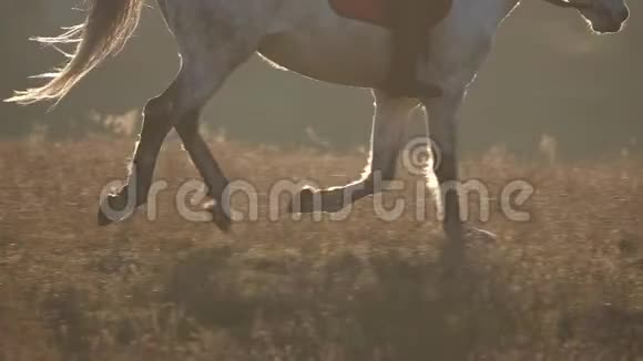 骑马的女孩骑马在田里散步慢动作视频的预览图