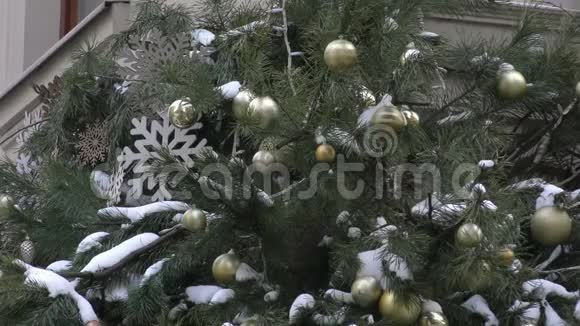冬季城市装饰的杉树视频的预览图